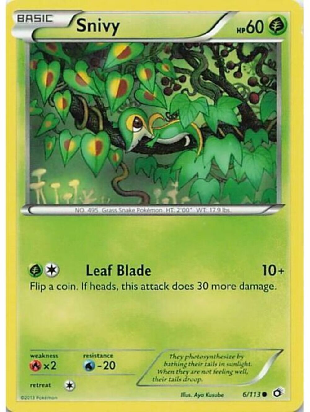 Pokemon TCG 2016 Snivy LP FCO